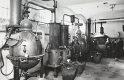 Alt Wiener Schnapsmuseum Alt Wiener Schnapsmuseum